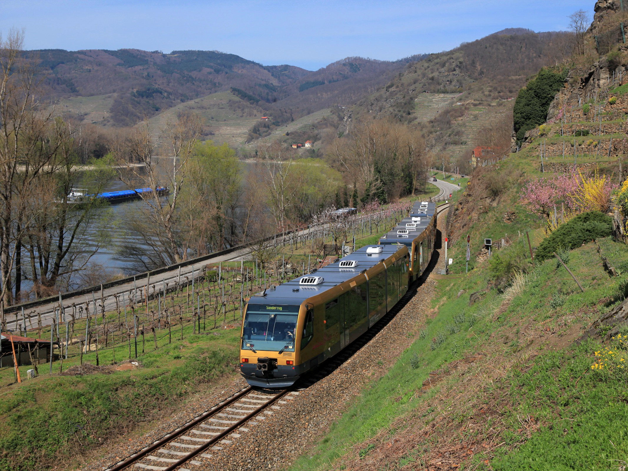 Wachaubahn um zeitigen Frühling
