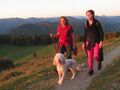 Erste Sonne auf dem Weg zur Eisensteinhütte
