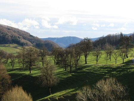 Streuobstwiese im sehr zeitigen Frühjahr