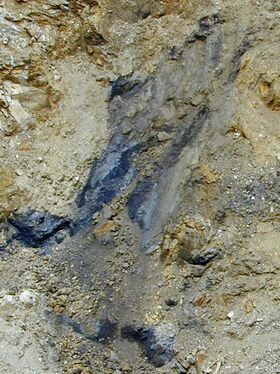 Kohlefund im Steinschaler Dörfl