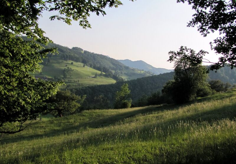 Datei:KL Tradigist Richt Kbg.jpg