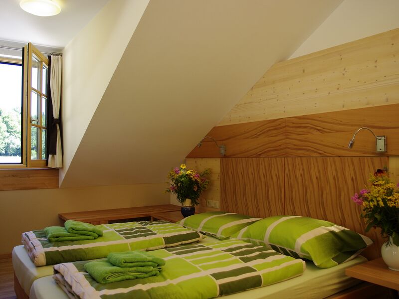 Datei:Buche Bett.jpg