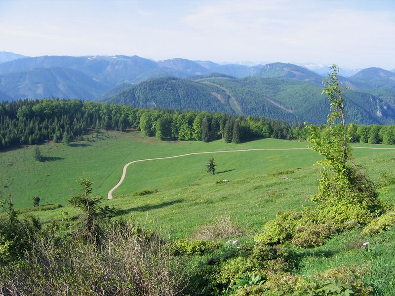 Datei:Frühling auf Eisenstein-Alm.jpg