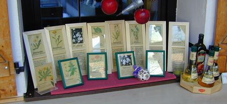 Pflanzenschilder beim Steinschaler Buffet