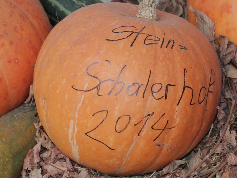 Datei:SG Kürbis beschriftet.jpg