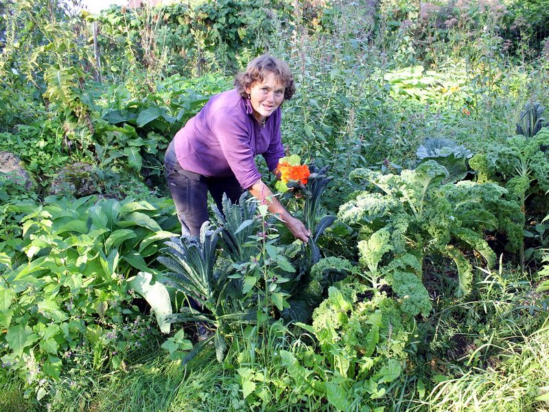 Datei:SG Frieda Kraut Kapuziner Kresse.jpg