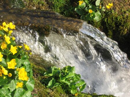 Frühlingsquelle Unterzögernitz