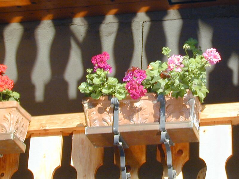 Datei:SH Blumen auf Balustrade Innenhof.jpg