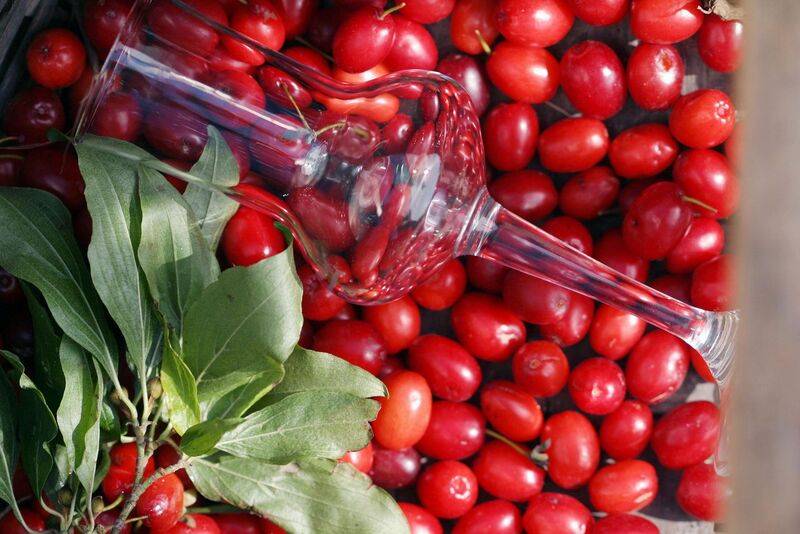 Datei:DIrndl u Glas.jpg