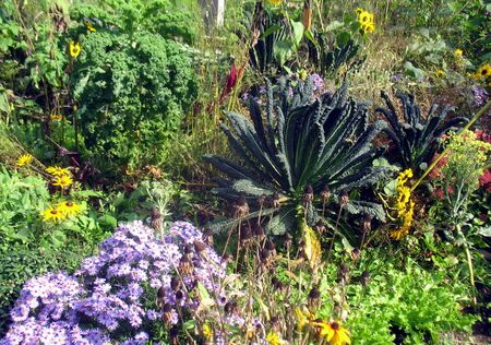 Naturgartenidylle im Herbst