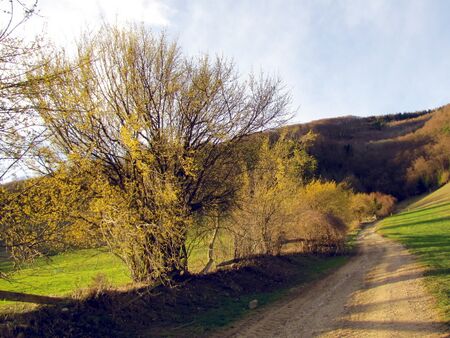 Dirndlzeiler im März