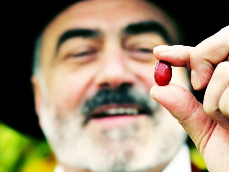 Datei:JW mit Dirndl.jpg