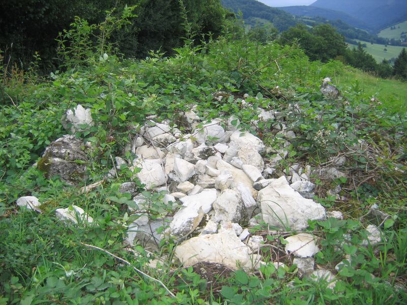 Datei:Lesesteinhaufen König.jpg