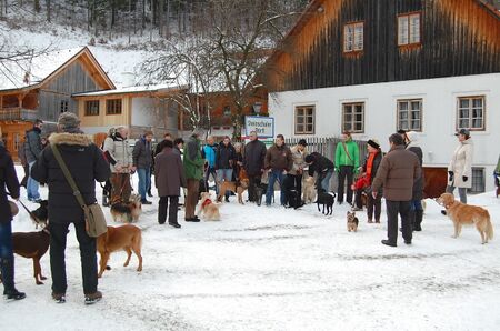 Silvester 2011 Steinschaler Dörfl - Hundemeeting