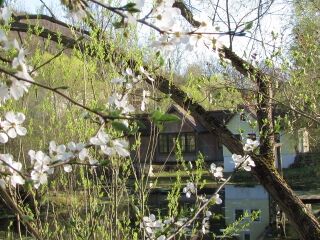 Teichbrücke im Frühjahr