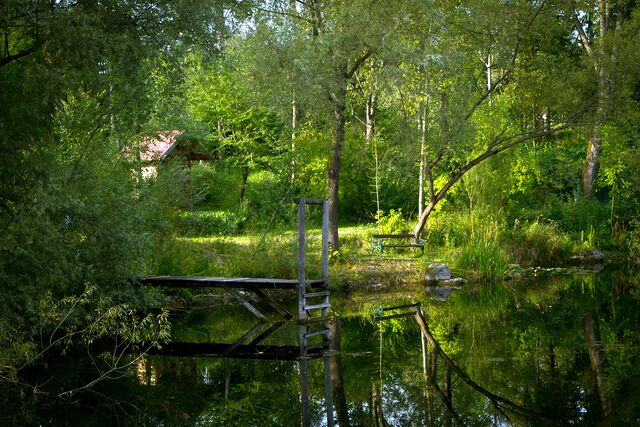 Bild:SH Teich Abendlicht.jpg