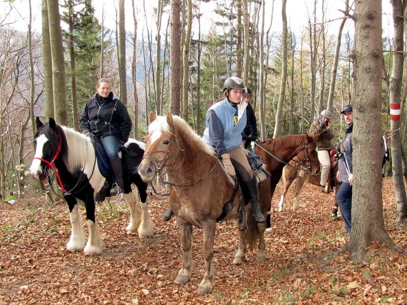 Datei:EST Ritt Herbst2012.jpg