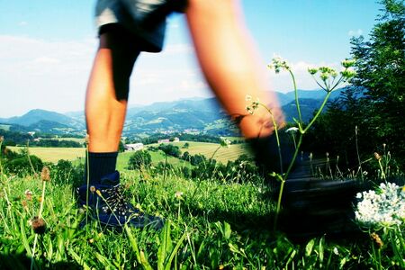 Wanderfüße Dirndltal