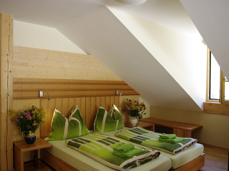 Datei:Eiche 2118.jpg