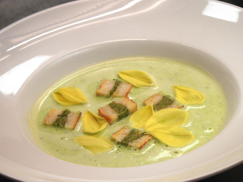 Datei:SK-Wildkräuter-Suppe vegan mit Strudlblättern.jpg