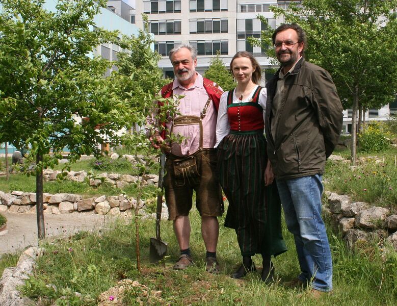 Datei:Dirndlpflanzung NÖLandesmuseum2011 05.jpg