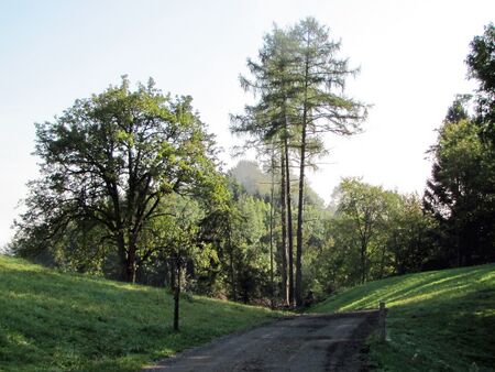 Abzweigung nach rechts zu den Eiben