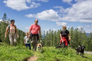 Wandern mit Hund und Kind -