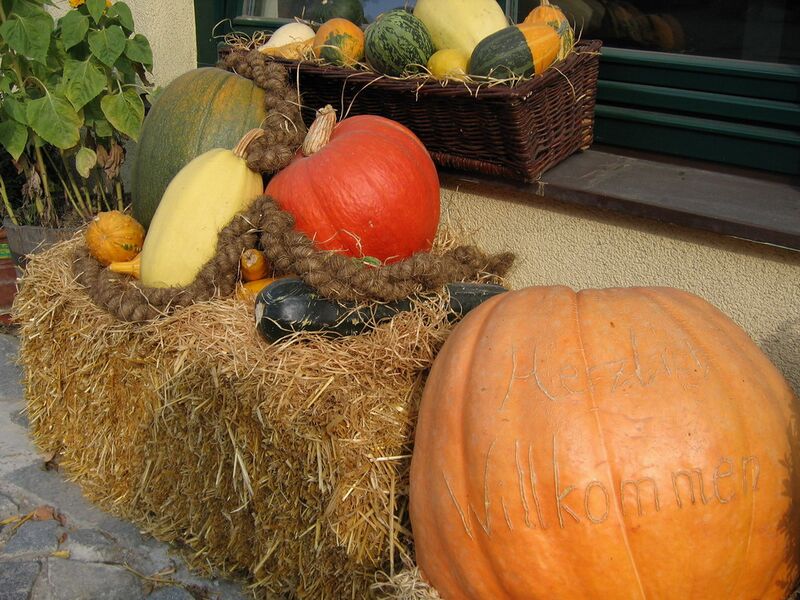 Datei:Steinschaler Kürbisdeko1.jpg