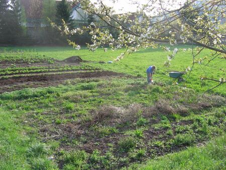 PIelachbettgarten - der Beginn