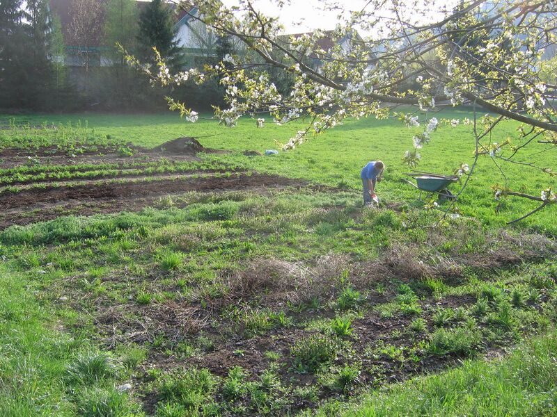 Datei:Pielachgarten erster Schritt.jpg