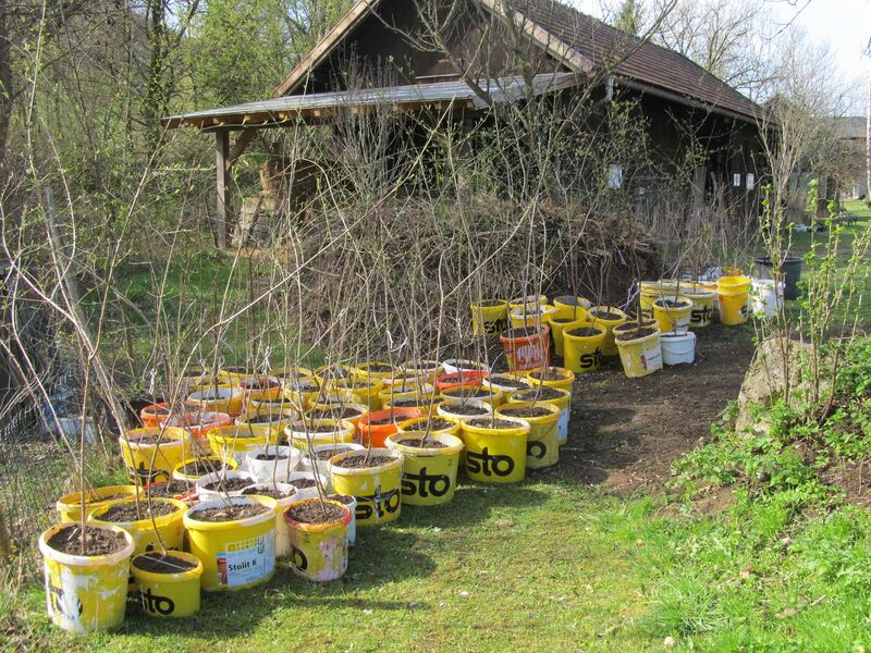 Datei:SG-getopfte Dirndln gr.jpg