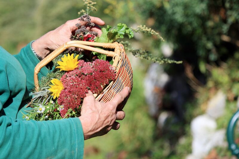 Datei:Erntekörberl mit Blumen.jpg