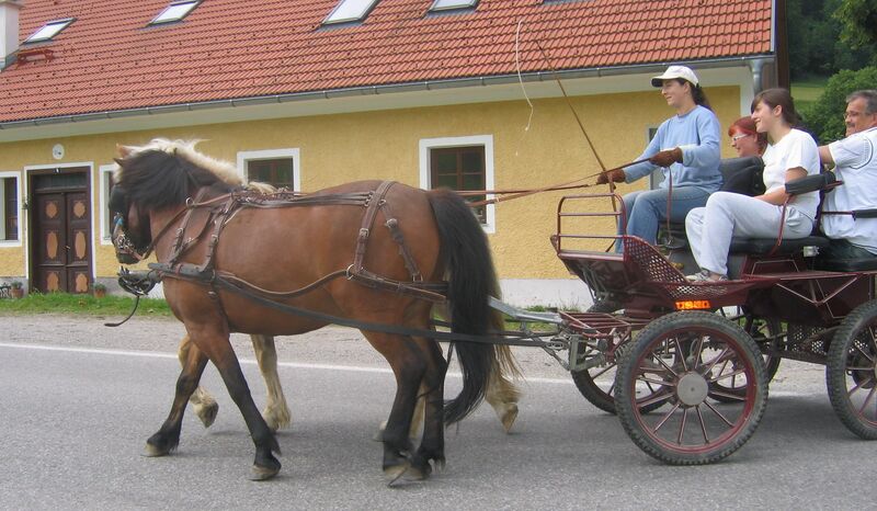 Datei:Johanna Kutschbock.jpg
