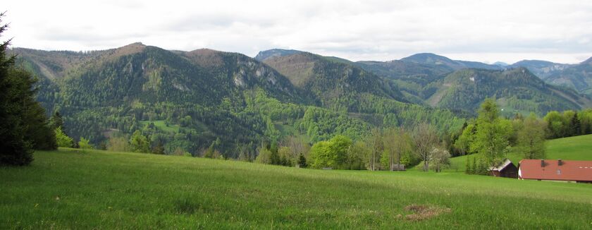 Panorama vom Loicheck