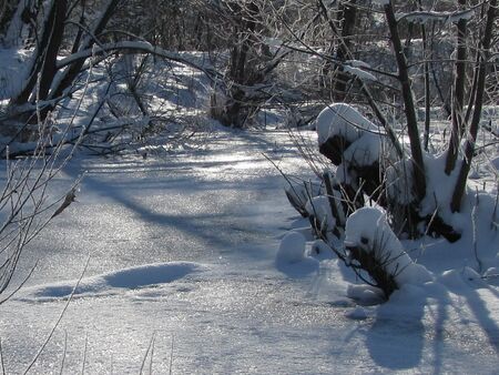 Teiche im Produktionsgarten - Winter