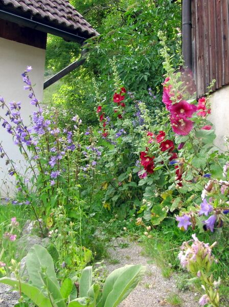 Datei:SD Stockrosenweg.jpg