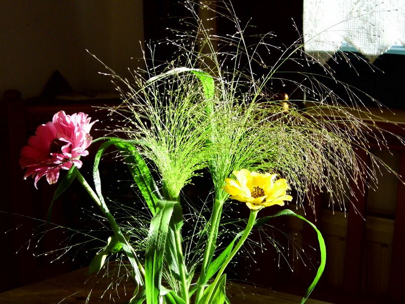 Datei:Dekoblumen Abendlicht.jpg