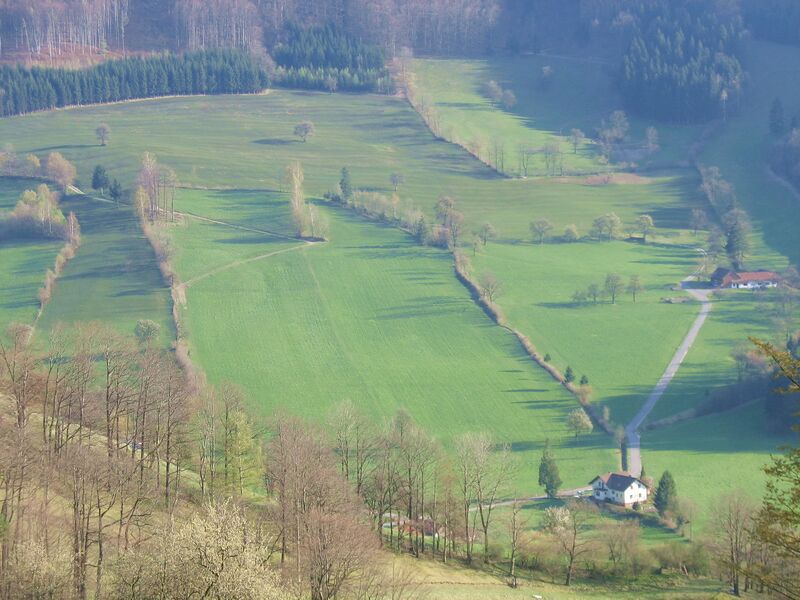 Datei:KL Frühling Tradogist1.jpg