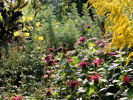 Hier wird für die Küche geerntet