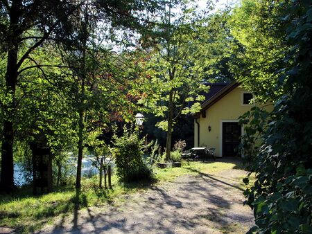 Teichbrücke am Morgen