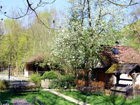 Troadkasten zur Birnbaumblüte