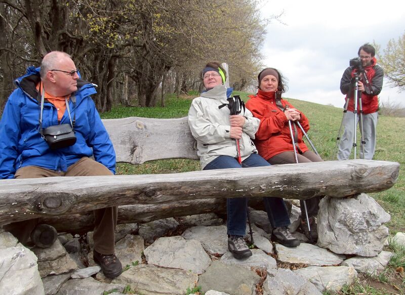 Datei:Dirndlblütenwand Rast Video.jpg