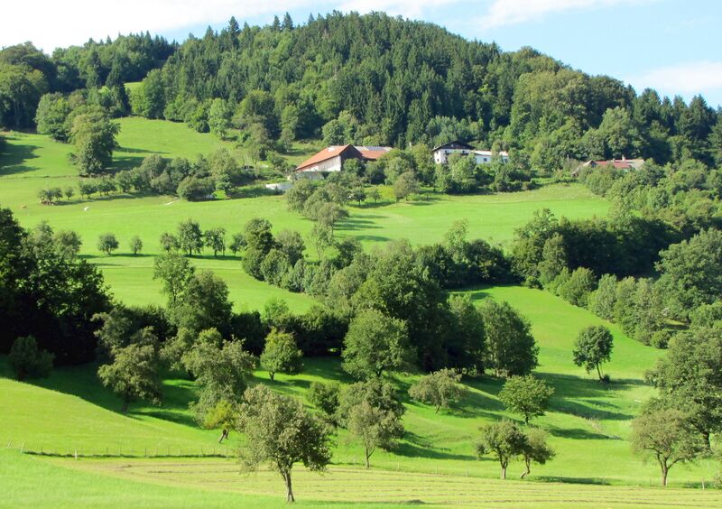 Datei:Fronberg Sommer.jpg