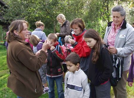 Volksschule Tradigist - Gartenführung 2011