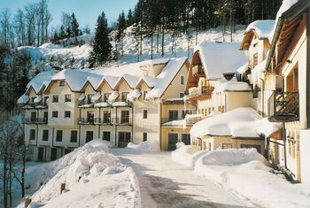 Winteridylle für Hunde