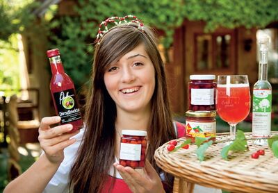 Johanna- Dirndlprodukte