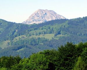 Ötscherblick vom Loicheck
