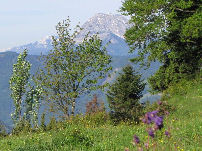 Datei:EST Ötscherblick Weg FJ .jpg