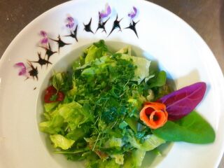 "typischer" Steinschaler Wildkräutersalat