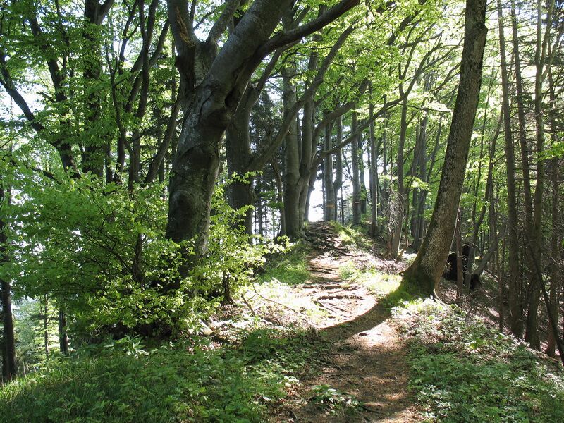 Datei:Plankenstein zur Grüntalkogelhütte 652.jpg